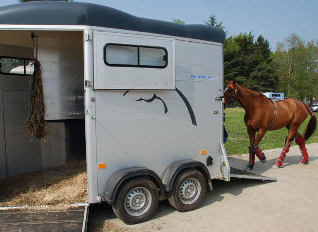 Offerta trailer cavalli